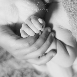 newborn photography